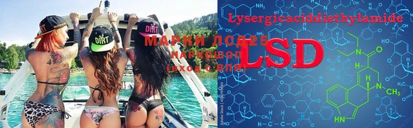 спиды Нефтекумск