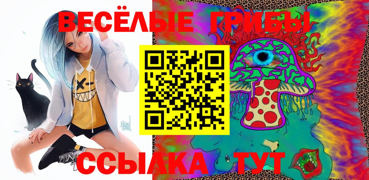 Галлюциногенные грибы Psilocybine cubensis  Псилоцибиновые грибы прущие грибы  Волжск  Вход с VPN 