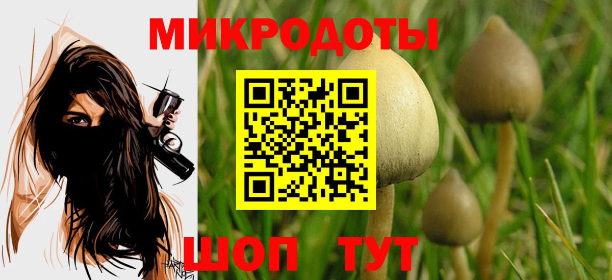 Псилоцибиновые грибы Cubensis Волжск